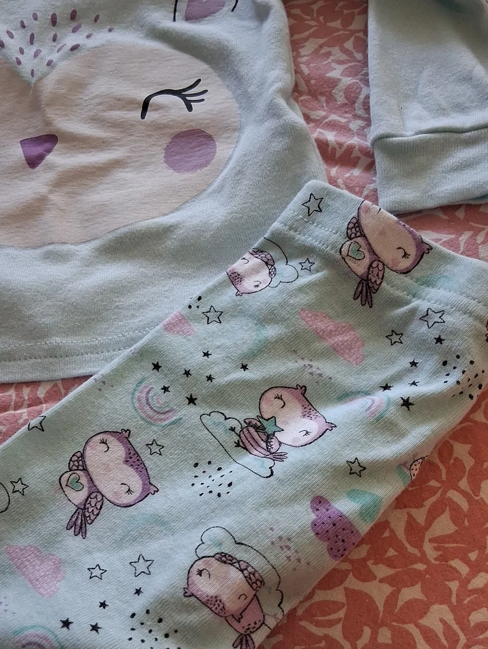 The Children's Place Mint and Pink Owl Pajama Set
